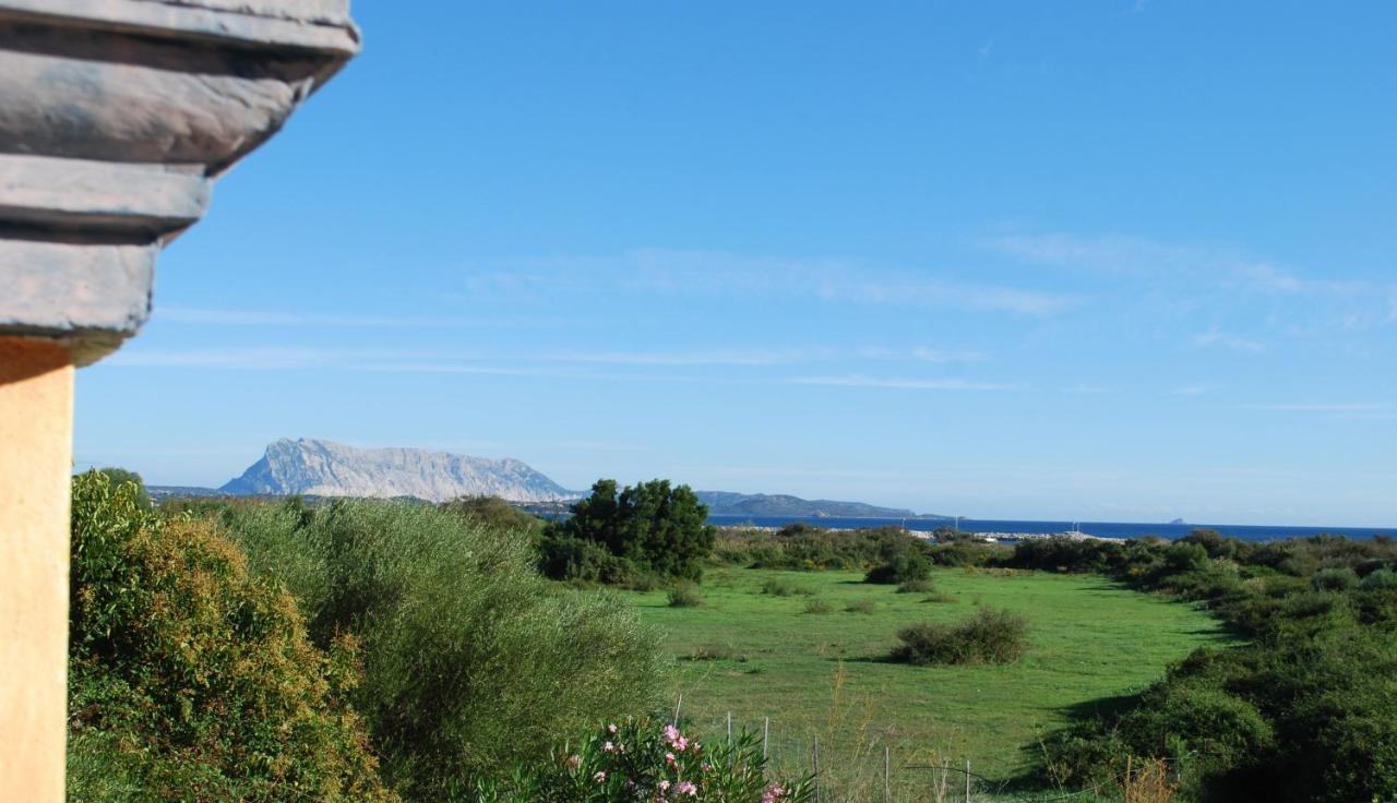 Residence Oasi E Oasi Blu San Teodoro  Buitenkant foto